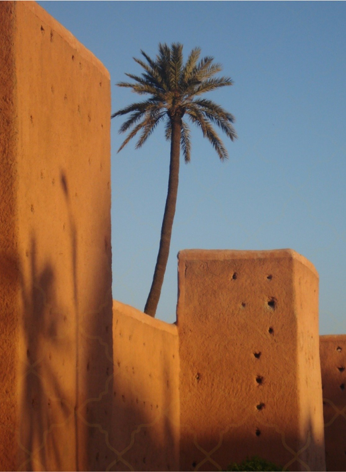 Mura storiche e palme di Marrakech